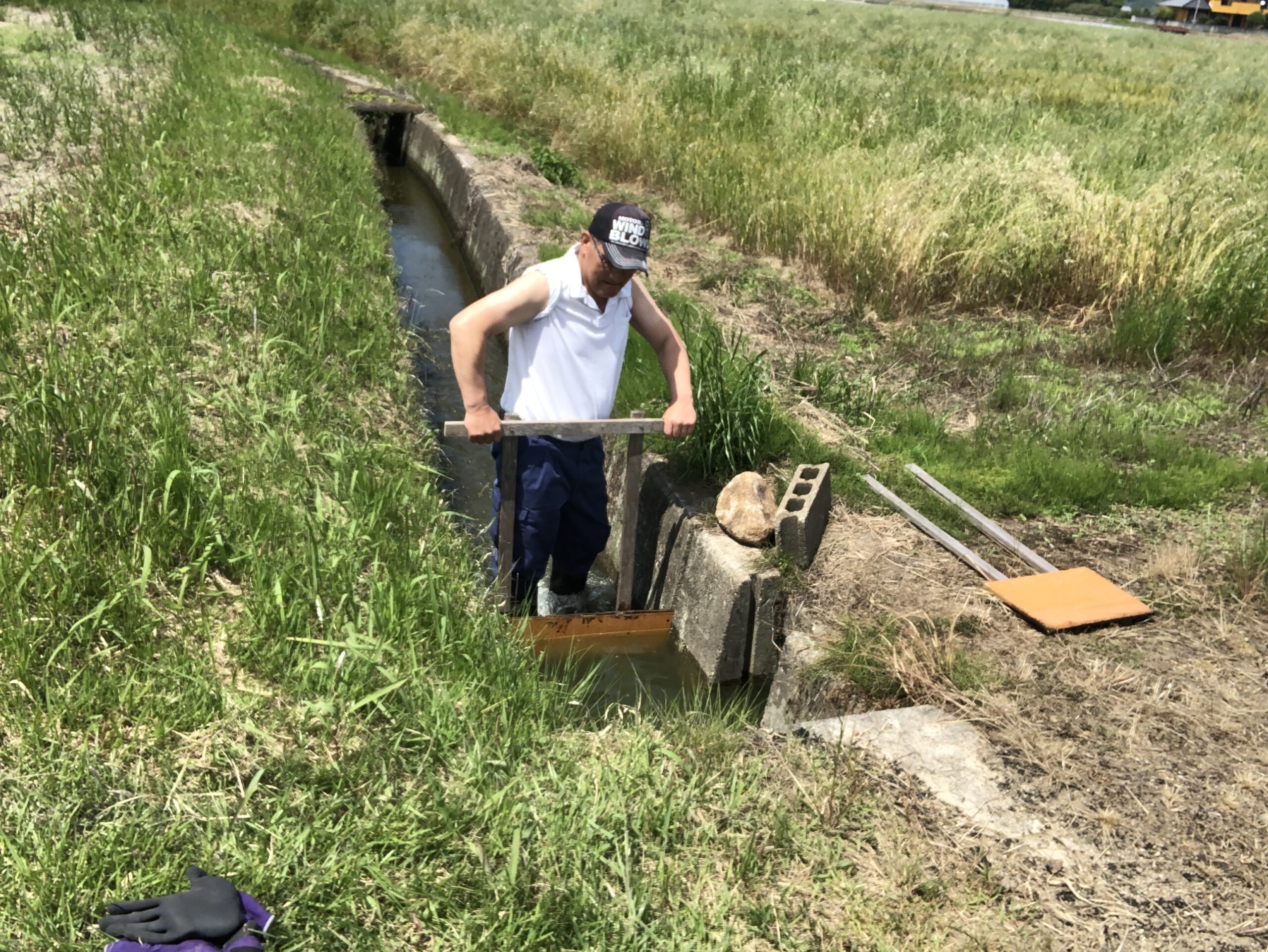 代表ブログ　田植えの季節がやってきました。